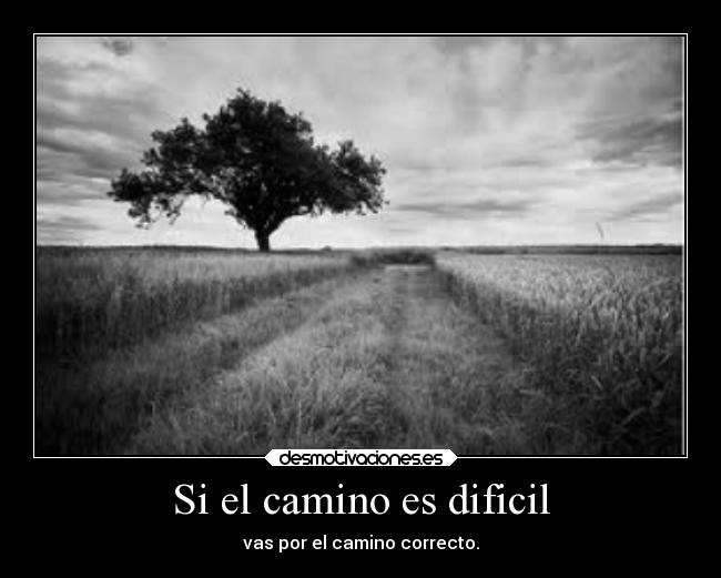 Si el camino es dificil - vas por el camino correcto.