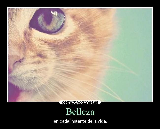 carteles vida desmotivaciones