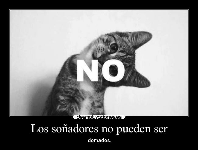 Los soñadores no pueden ser -