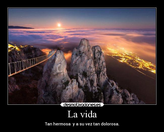 La vida -