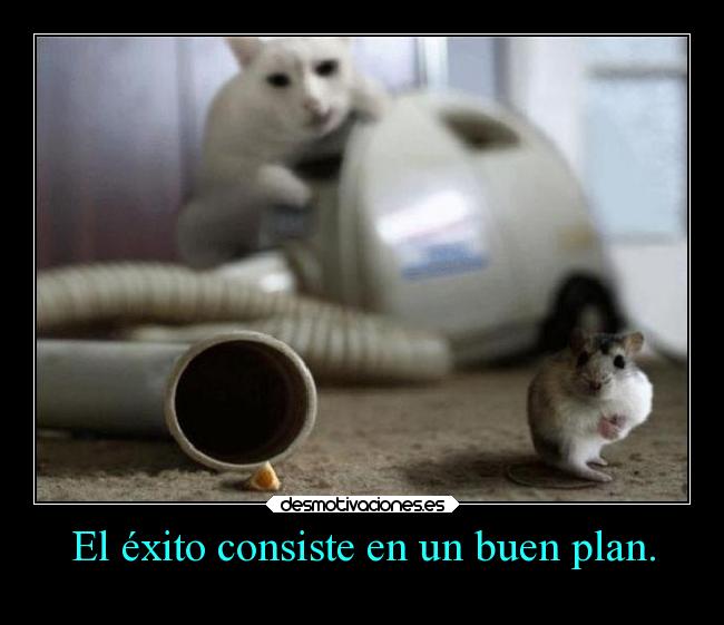 carteles vida desmotivaciones