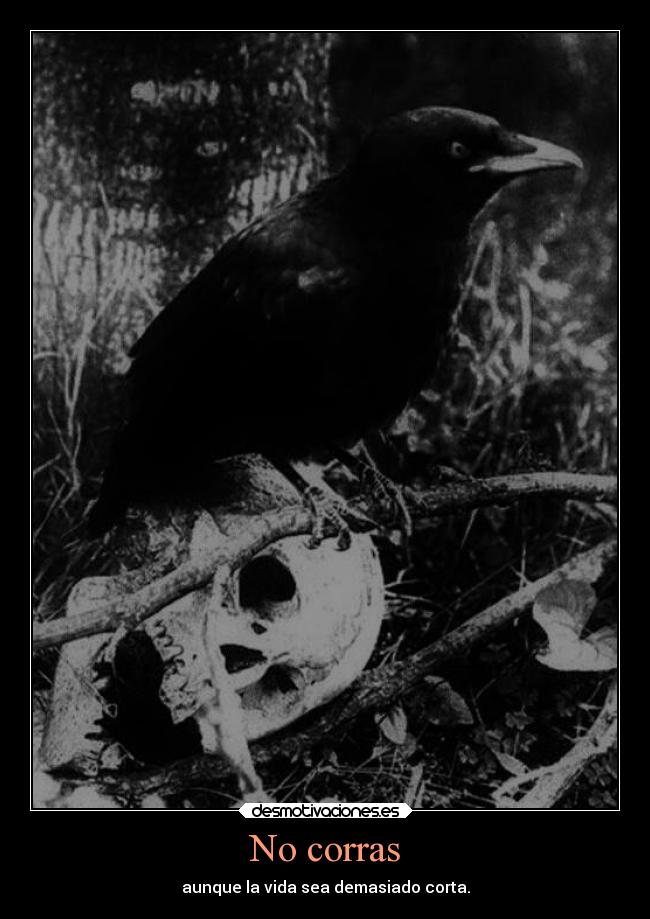 No corras - aunque la vida sea demasiado corta.