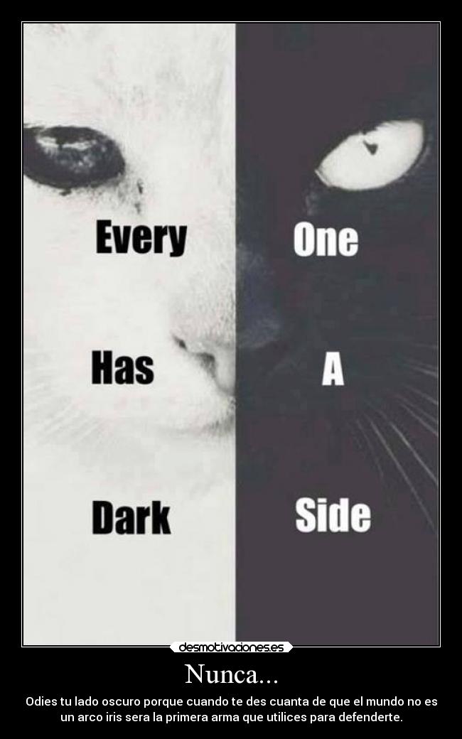 Nunca... - Odies tu lado oscuro porque cuando te des cuanta de que el mundo no es
un arco iris sera la primera arma que utilices para defenderte.