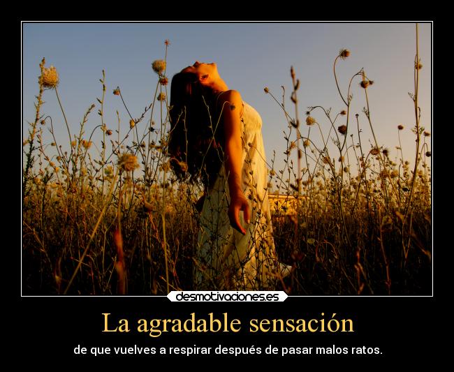 La agradable sensación -