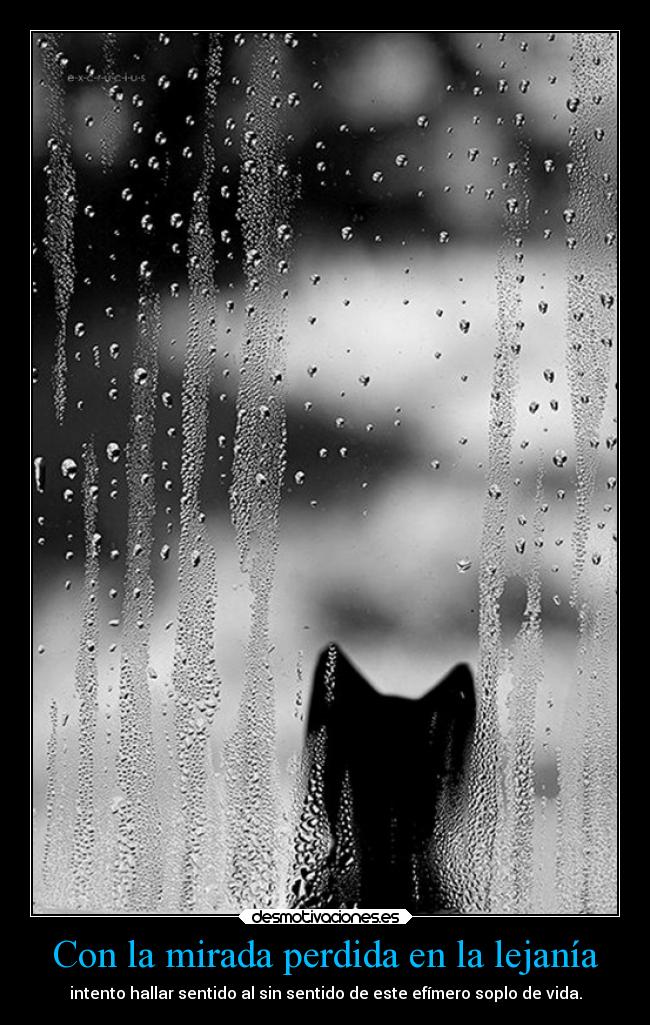 Con la mirada perdida en la lejanía -