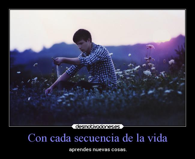 carteles vida vida desmotivaciones libertadalospresosmentales ajedrez desmotivaciones