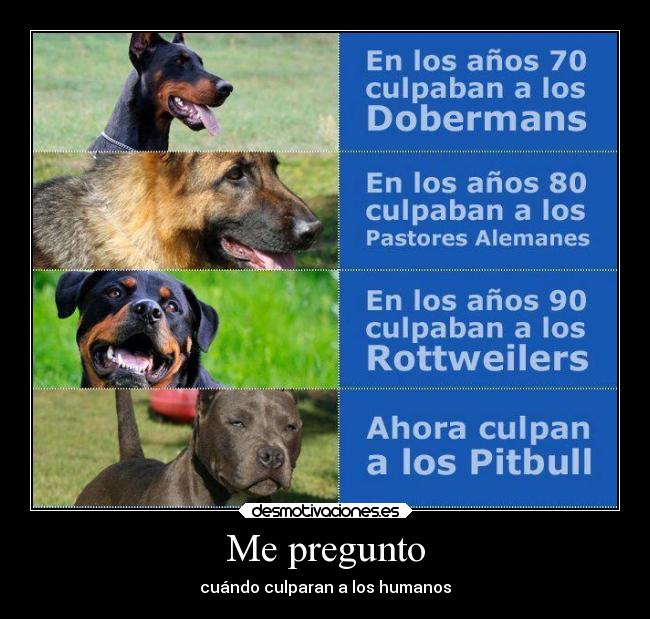 Me pregunto - cuándo culparan a los humanos