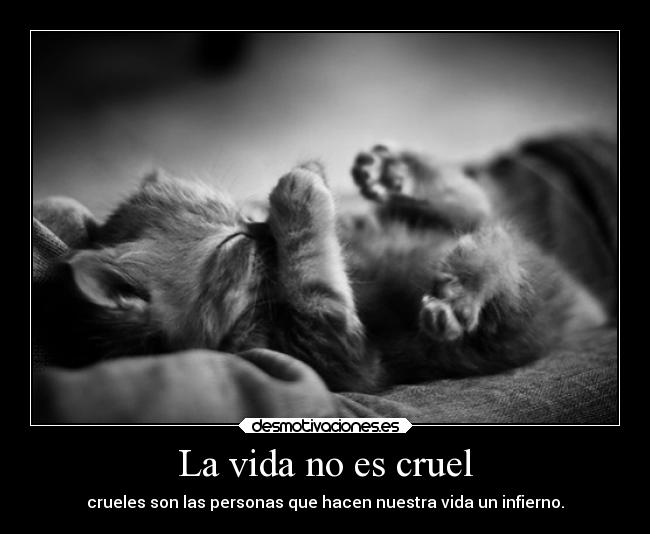 La vida no es cruel -