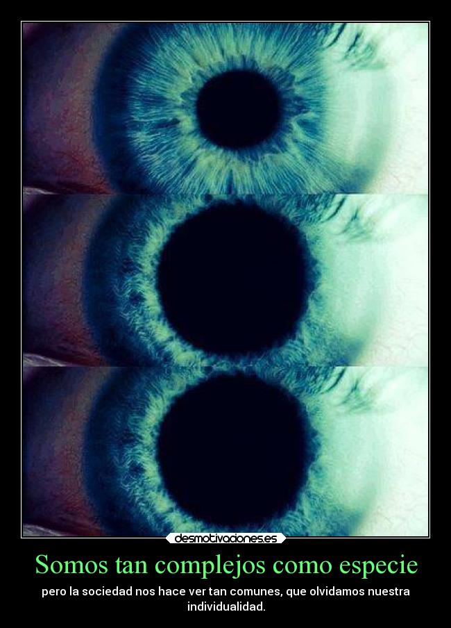 carteles vida especie humana verdad desmotivaciones