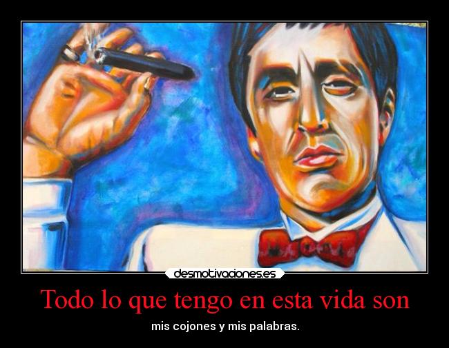 Todo lo que tengo en esta vida son -