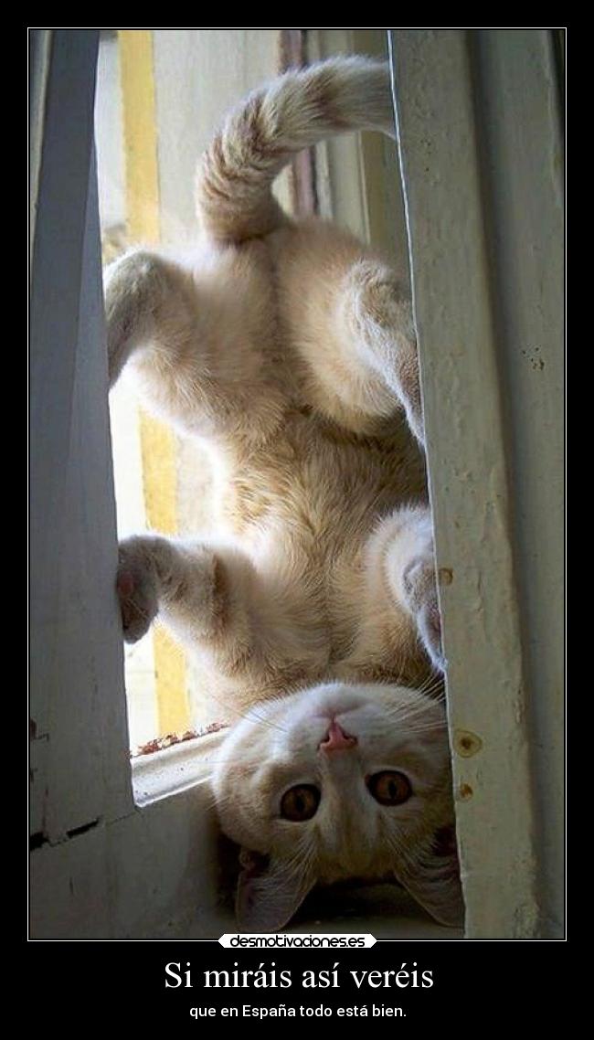 Si miráis así veréis -