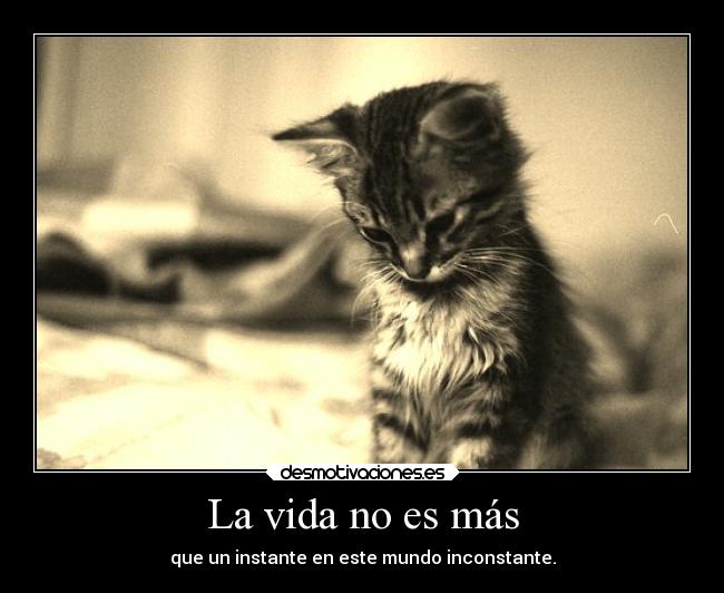 La vida no es más - 