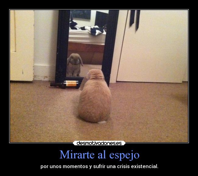 Mirarte al espejo - 