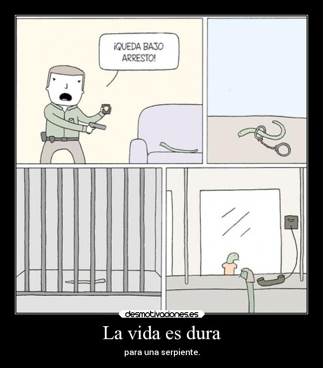 La vida es dura - para una serpiente.