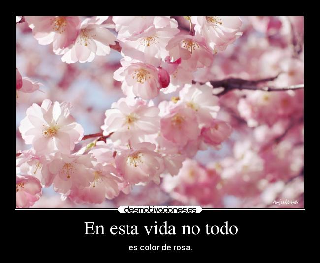 En esta vida no todo - 