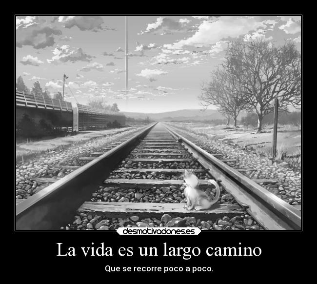 La vida es un largo camino - 