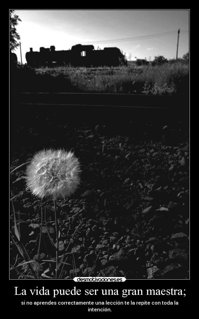 La vida puede ser una gran maestra; - 