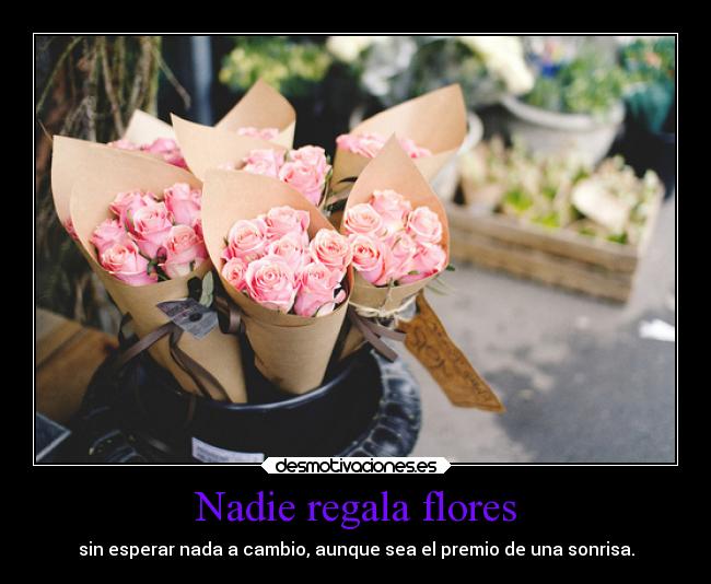 Nadie regala flores - sin esperar nada a cambio, aunque sea el premio de una sonrisa.