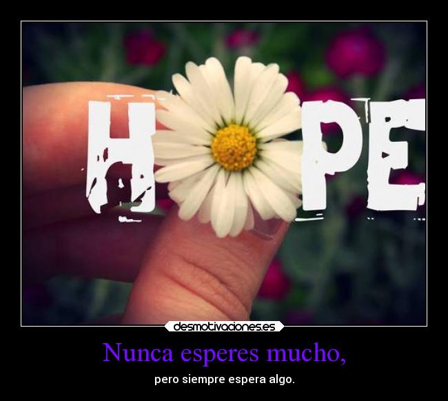 Nunca esperes mucho, - pero siempre espera algo.