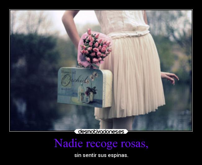 Nadie recoge rosas, - sin sentir sus espinas.