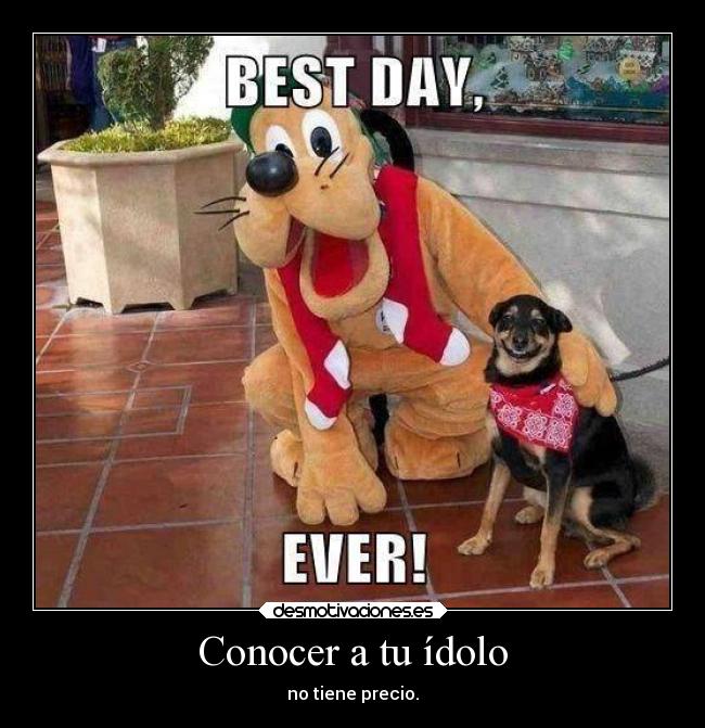 Conocer a tu ídolo -