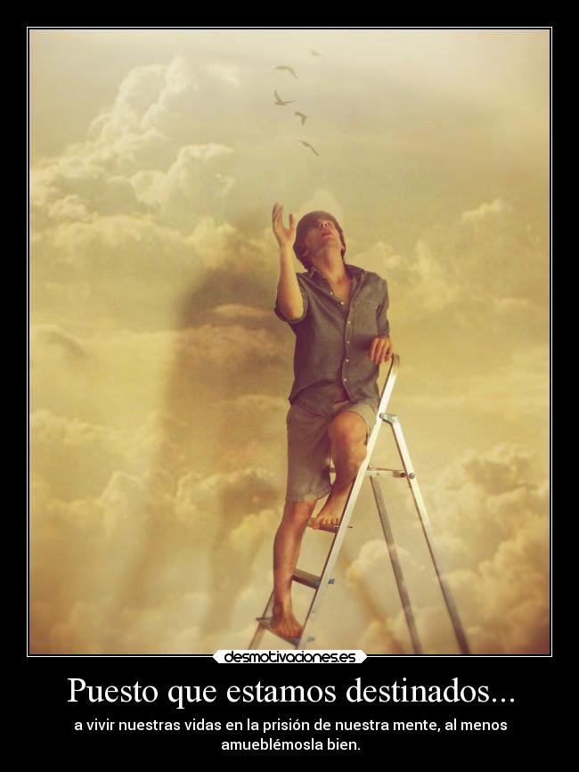 Puesto que estamos destinados... - a vivir nuestras vidas en la prisión de nuestra mente, al menos
amueblémosla bien.