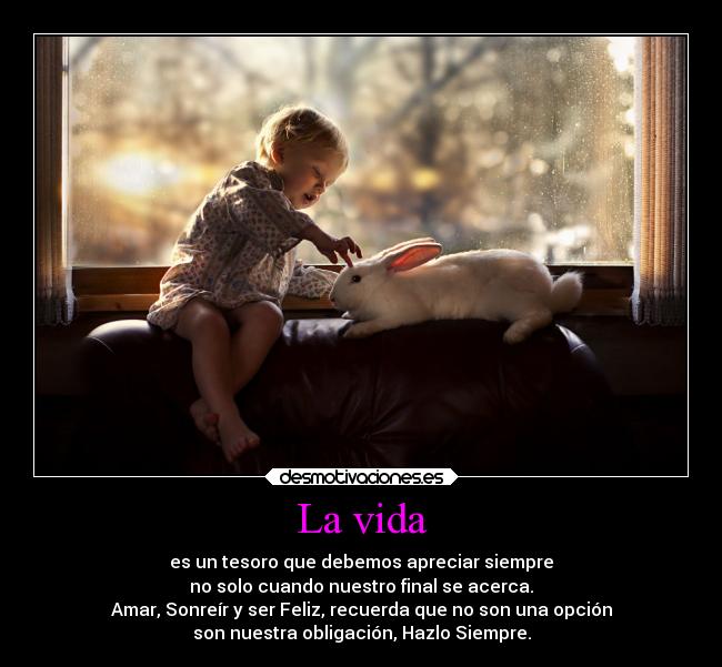 La vida - es un tesoro que debemos apreciar siempre
no solo cuando nuestro final se acerca.
Amar, Sonreír y ser Feliz, recuerda que no son una opción
son nuestra obligación, Hazlo Siempre.