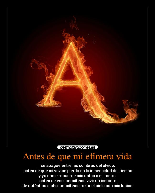 carteles vida muerte vida amor theinmortals mega godricvampire666 unicorniosrosasyazules desmotivaciones