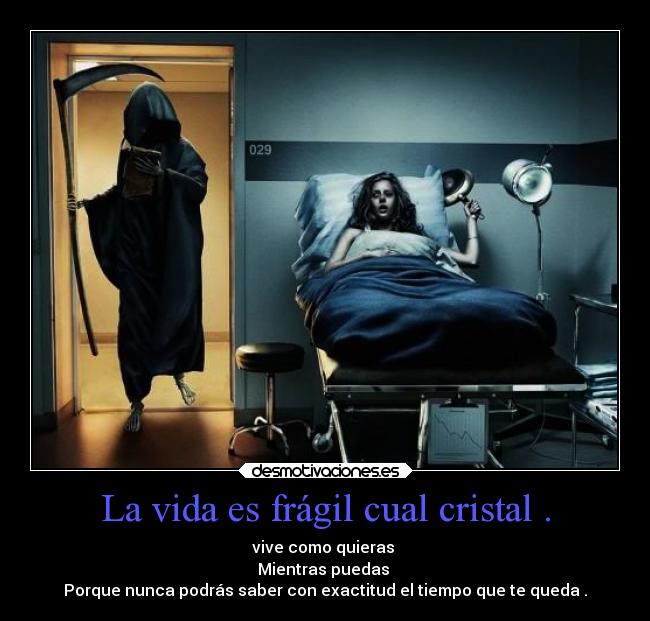 La vida es frágil cual cristal . -