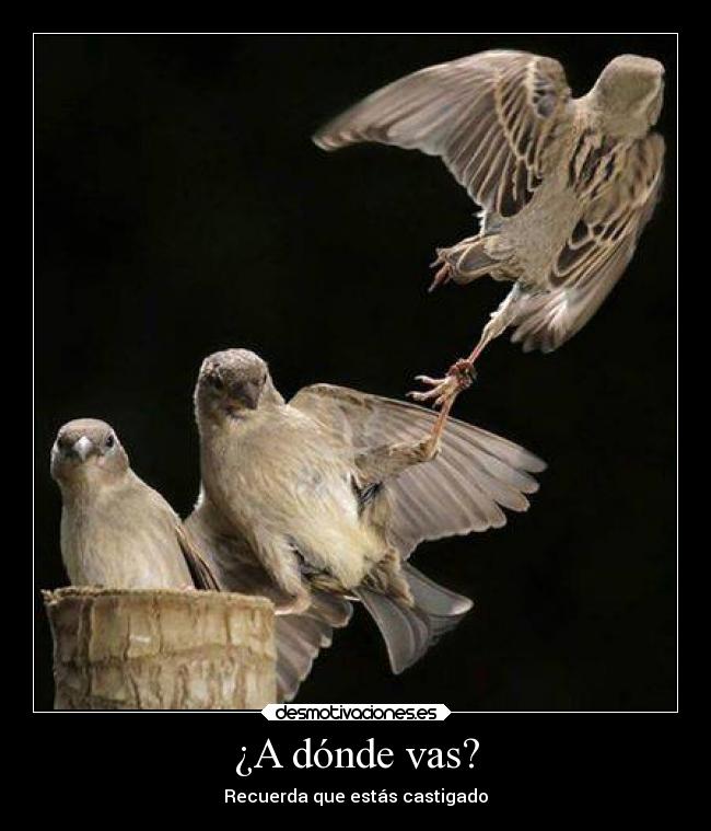 ¿A dónde vas? - Recuerda que estás castigado