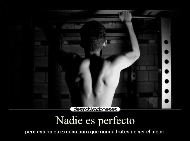 Nadie es perfecto - 