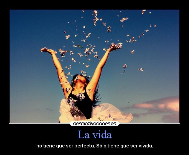 carteles vida vida perfecta desmotivaciones