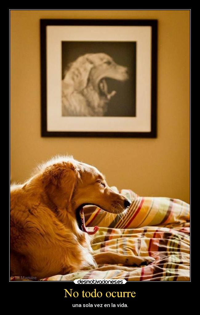 No todo ocurre -