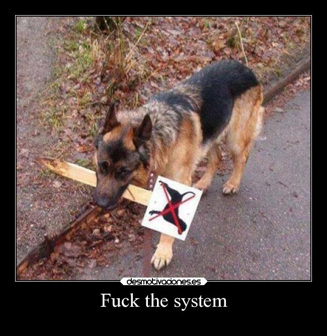 Fuck the system - 