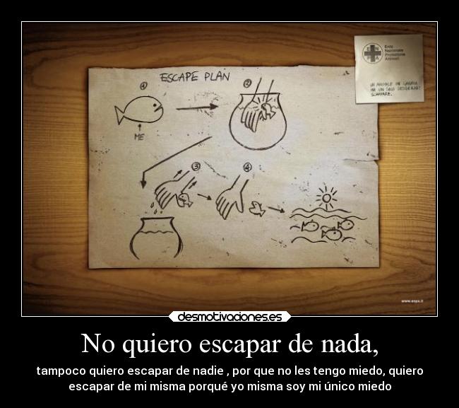 No quiero escapar de nada, -