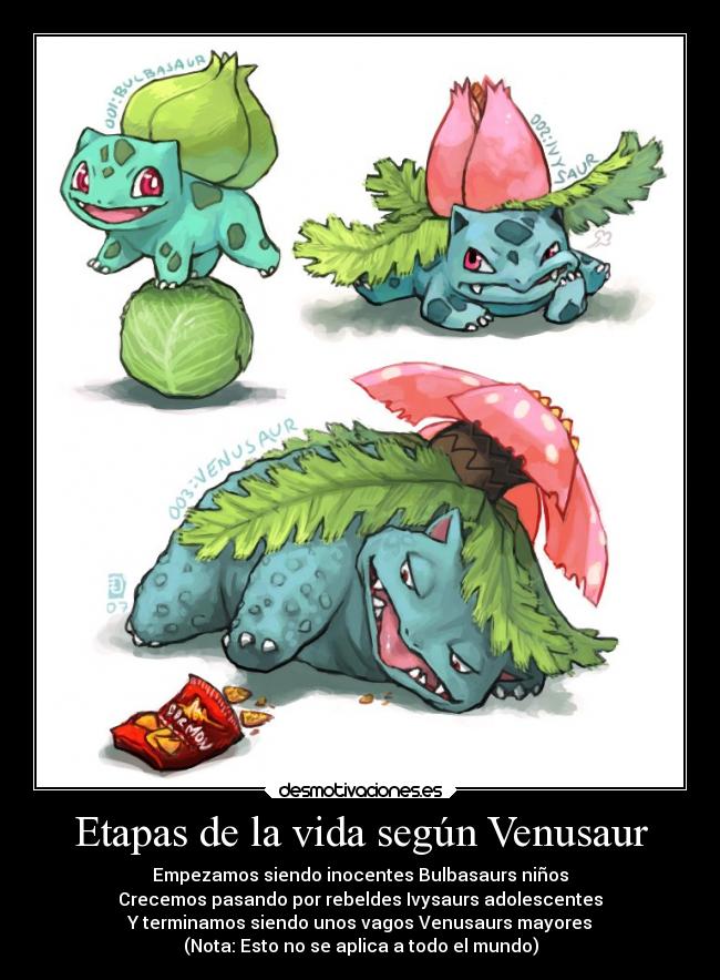 Etapas de la vida según Venusaur - 