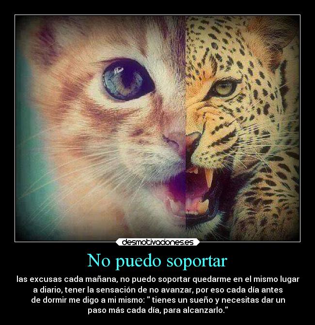 No puedo soportar - las excusas cada mañana, no puedo soportar quedarme en el mismo lugar
a diario, tener la sensación de no avanzar, por eso cada día antes
de dormir me digo a mi mismo:  tienes un sueño y necesitas dar un
paso más cada día, para alcanzarlo.