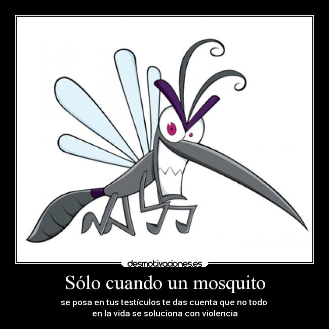 Sólo cuando un mosquito - se posa en tus testículos te das cuenta que no todo 
en la vida se soluciona con violencia
