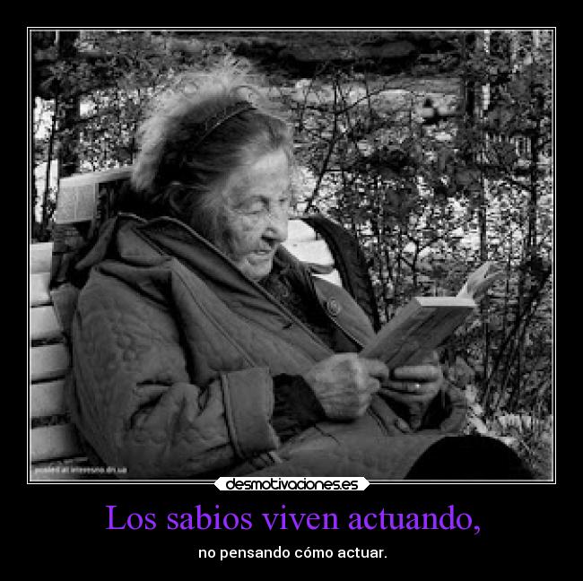 carteles vida sabiduria desmotivaciones