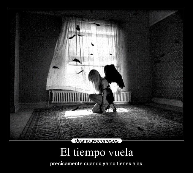 El tiempo vuela - 