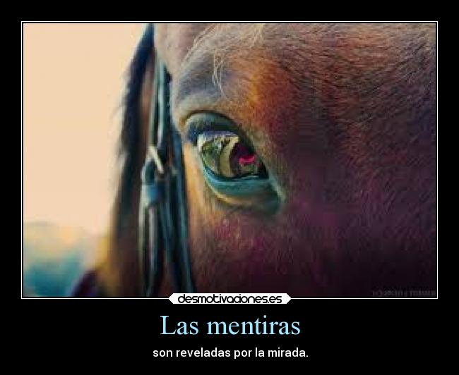 Las mentiras - son reveladas por la mirada.