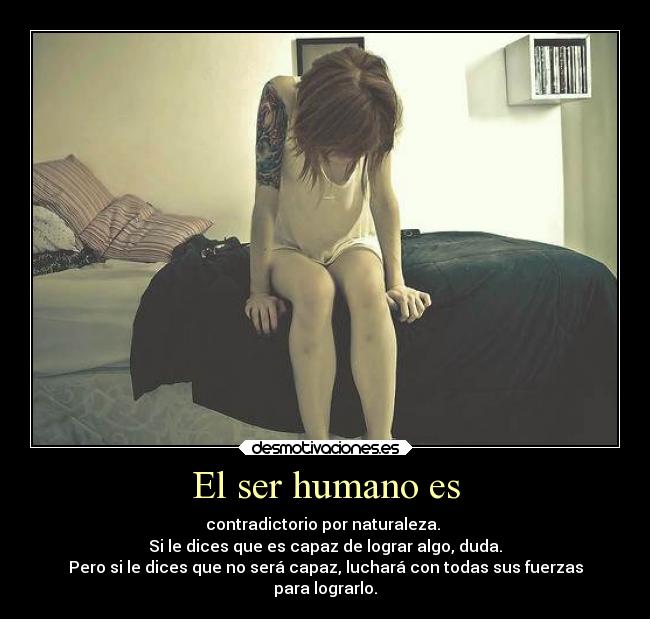 carteles vida serhumano desmotivaciones