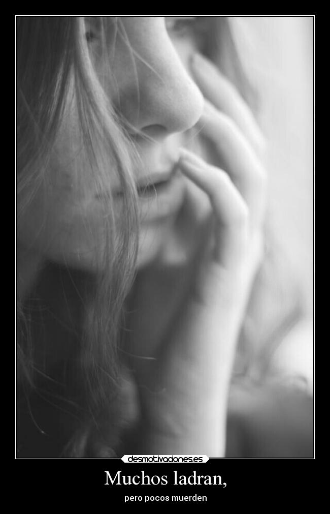 Muchos ladran, - pero pocos muerden