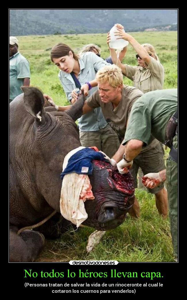 No todos lo héroes llevan capa. -