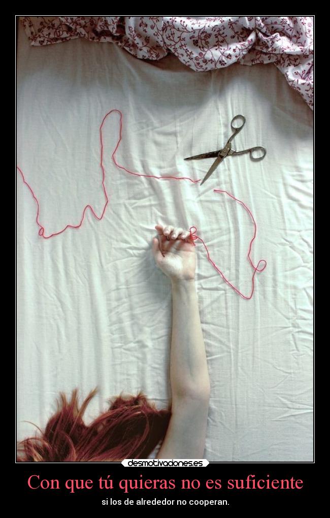 carteles vida solonosepuede kouxz desmotivaciones