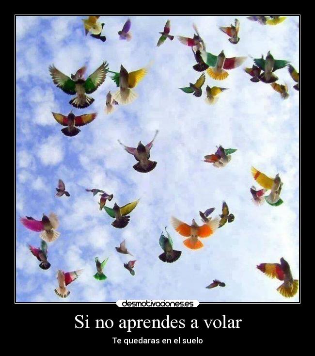 Si no aprendes a volar - Te quedaras en el suelo