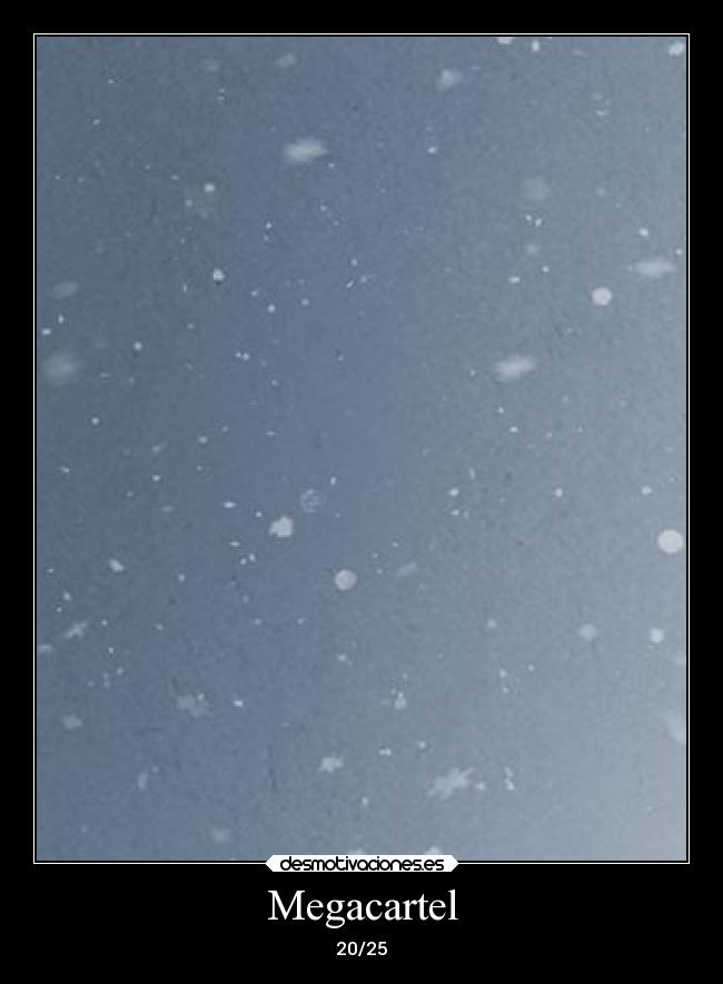 Megacartel - 20/25