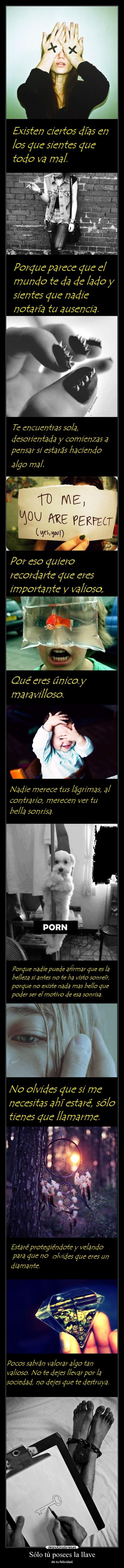 Sólo tú posees la llave -