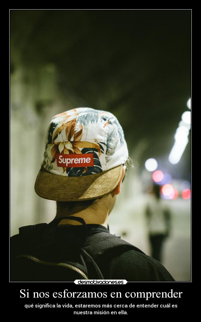 Si nos esforzamos en comprender -