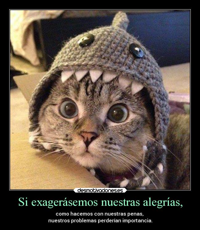 Si exagerásemos nuestras alegrías, -